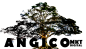 AngicoLogo